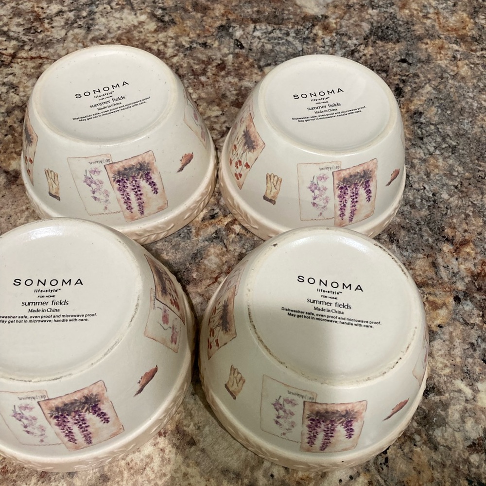 Sonoma Summer Field Ramekin cups.